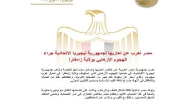 علم مصر ونيجيريا متجاوران، يرمزان إلى التضامن في مواجهة الإرهاب.