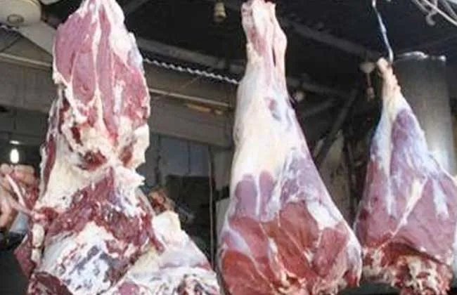 استقرار ملحوظ في أسعار اللحوم بالإسكندرية.. والمنافذ الحكومية تساهم في تلبية الطلب