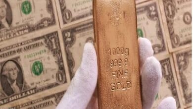 زيمبابوي تلزم المصدرين بالاحتفاظ بـ 30% فقط من العملة الأجنبية.. وفالتيرا بلاتينيوم تصفّي متأخرات بقيمة 100 مليون دولار