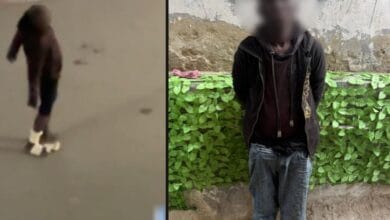 الأمن بالجيزة يضبط أجنبيًا يثير الجدل بتصرفات غير متزنة في الشارع