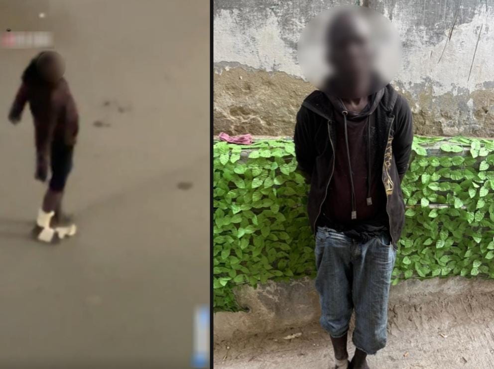 الأمن بالجيزة يضبط أجنبيًا يثير الجدل بتصرفات غير متزنة في الشارع