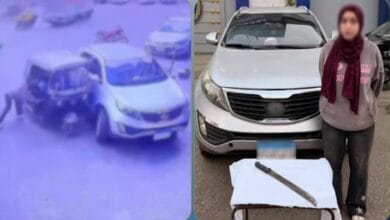 فيديو مثير لاعتداء سيدة على سائق توك توك بسلاح أبيض.. والأمن يكشف التفاصيل