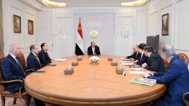 الرئيس السيسى يبحث مع رئيس GCL الصينية التعاون فى مجال الطاقة المتجددة وإمكانية توطينها بمصر