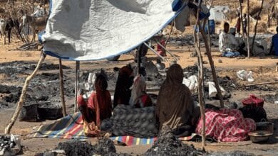 بيان لوزراء خارجية أوروبيين: العنف الذى تقوده قوات الدعم السريع فى الفاشر يشكل جرائم حرب