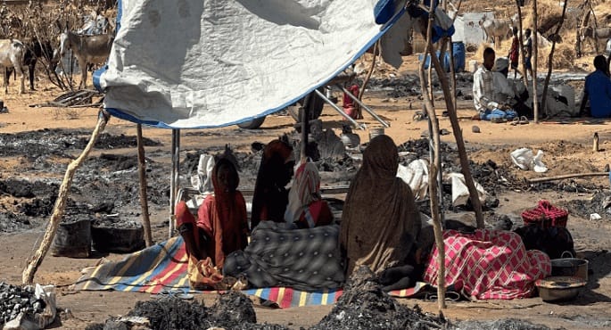 بيان لوزراء خارجية أوروبيين: العنف الذى تقوده قوات الدعم السريع فى الفاشر يشكل جرائم حرب