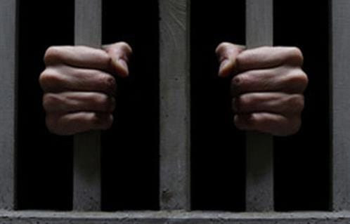 تنفيذ 41100 حكم بالغرامة خلال يومين