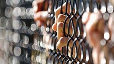 حبس المتهمين بالتعدى على صيدلي بالشوم بكفرالشيخ