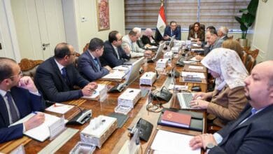 وزيرة التنمية المحلية والبيئة تبحث مع رئيس الجهاز المركزي للتنظيم والإدارة تعديلات الهياكل التنظيمية بالوزارة