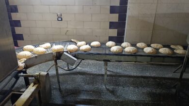 حملات تموينية بكفرالشيخ  تحرر 142 محضرا تموينيا للمخابز البلدية المخالفة | صور