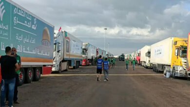 محمد منصور: مصر السند الحقيقي لغزة وحملة «مليون إفطار صائم» لدعم الأسر خلال رمضان