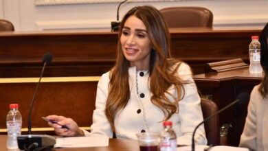 النائبة إنجي نصيف: تصريحات الرئيس السيسي في ذكرى العاشر من رمضان رسالة اصطفاف وطني خلف الدولة