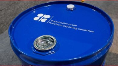 “أوبك+” يدرس زيادة أكبر للإنتاج بعد قصف إيران اليوم