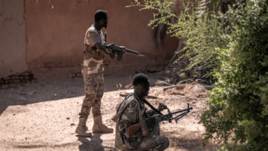 قوات الدعم السريع في منطقة الطينة بالسودان