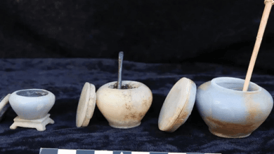 مقابر صخرية أثرية تعود للدولة القديمة في منطقة قبة الهواء بأسوان.