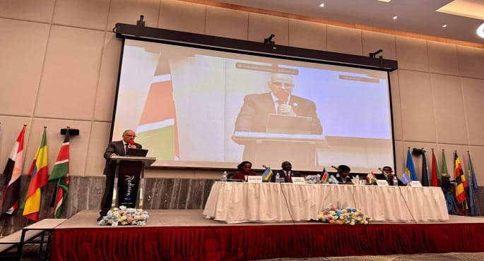 الدكتور هاني سويلم يلقي كلمته خلال اجتماع مجلس وزراء مياه دول حوض النيل في جوبا.