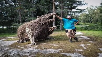 منحوتة ضخمة لحيوان أسطوري مصنوعة بالكامل من أغصان وأخشاب الأشجار المتساقطة، تقع في غابة خضراء، تُظهر تفاصيل دقيقة وتناغمًا مع البيئة المحيطة.