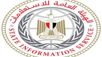 «الاستعلامات» تناشد المراسلين الأجانب الرجوع في كل ما يخص الموقف المصري إزاء التصعيد العسكري للبيانات الرسمية