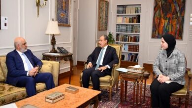 وزير الخارجية يؤكد أهمية دور البنك الدولى فى دعم جهود التنمية