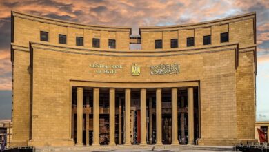 مصرفي: إجراءات الدولة لضبط القطاع المصرفي أتاحت مرونة كبيرة في إدارة سوق الصرف وتلبية احتياجات الاستيراد