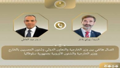 وزير الخارجية يؤكد: الخيارات العسكرية تؤدي لمزيد من العنف وسفك الدماء