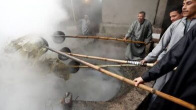 العسل الأسود القناوي يطرق أبواب اليونسكو.. دعوات لتسجيله ضمن التراث غير المادي