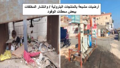 الهيئة المصرية العامة للبترول تواصل حملاتها الرقابية على منظومة توزيع الوقود وتكشف عن مخالفات
