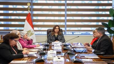 وزيرة التنمية المحلية والبيئة تتابع تنفيذ مشروعات الدعم الفني بالتعاون مع برنامج الأمم المتحدة الإنمائي