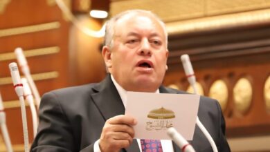 أمين سر تشريعية الشيوخ: مصر تقدم نموذجاً فريداً في إدارة الأزمات