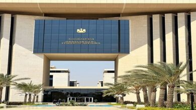 وزارة الخارجية تطالب الدول الغربية باعتبار مصر مركزًا لإجلاء الأجانب