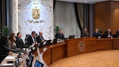 مجلس الوزراء يوافق على مسح جوي جيوفيزيقي لثروات مصر التعدينية وتمديد خدمة أعضاء بالمهن الطبية