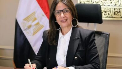 وزيرة الثقافة تنعي الدكتور أحمد درويش