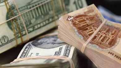 استقرار سعر الدولار أمام الجنيه في التعاملات الصباحية لبنوك مصر