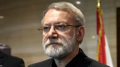 لاريجاني يحذر واشنطن من عواقب أي تدخل بري في إيران