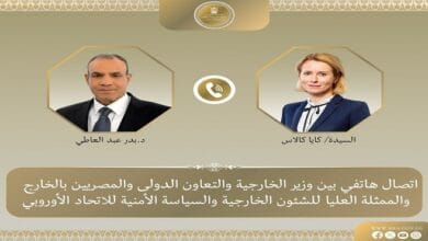 وزير الخارجية يبحث مع الممثلة العليا للاتحاد الأوروبي التطورات الإقليمية وسبل تعزيز العلاقات