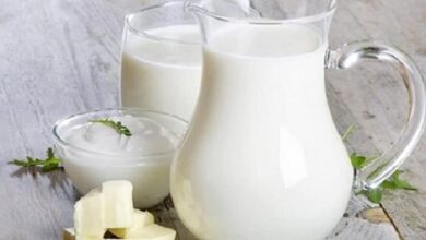 خبراء تغذية: اللبن الرايب يعزز صحة الجهاز الهضمي والمناعة خلال رمضان