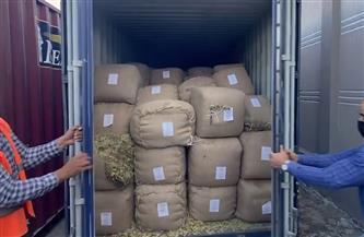 قطاع أمن المنافذ يحكم السيطرة على المنافذ الجمركية ويضبط قضايا تهريب وهجرة غير شرعية