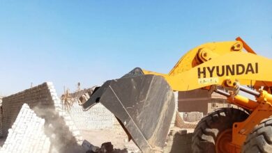 إزالة 1512 تعديًا على أملاك الدولة والأراضي الزراعية بالبحيرة