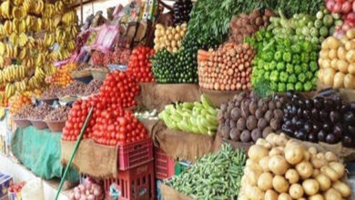 استقرار أسعار الخضراوات والفاكهة في أسواق الغربية.. الطماطم بـ 20 جنيهًا