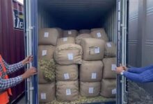 حملات أمنية مكثفة تضبط 37 قضية متنوعة في المنافذ الجمركية خلال 48 ساعة