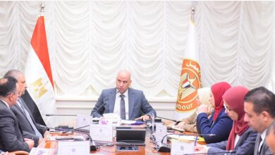 وزير العمل يبحث مع وفد شركة ليوني مصر آفاق تعزيز التعاون وفتح أسواق عمل جديدة