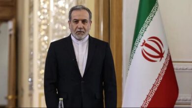 وزير الخارجية الإيراني: نرفض دعوات وقف إطلاق النار ونؤكد استمرار التعاون مع روسيا