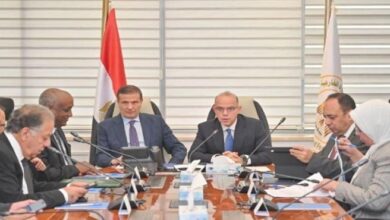 وزيرا الاستثمار والزراعة يبحثان تعزيز الاستثمارات المصرية في إفريقيا