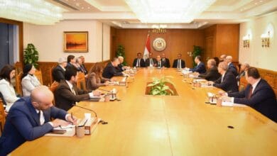 اجتماع وزاري لبحث سبل تعزيز خدمات المصريين بالخارج