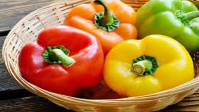 الفلفل الملون: تعزيز المناعة وترطيب فعال خلال ساعات الصيام
