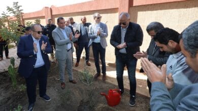 محافظ كفرالشيخ يدشن حملة لزراعة 50 ألف شجرة مثمرة بمدينة الرياض