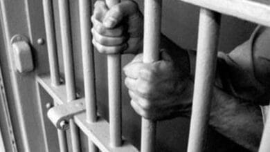 محكمة مستأنف الجيزة تؤيد السجن 3 سنوات لمتهمين بخطف فتاة وسرقتها في أكتوبر