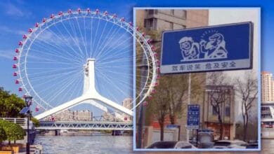 الصين: لافتات مرورية تحذر السائقين من المزاح أثناء القيادة في تيانجين