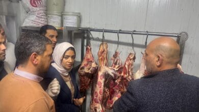 حماية المستهلك بالقليوبية تواصل حملاتها الرقابية لضبط الأسواق