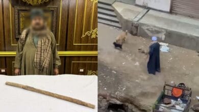 ضبط شخص اعتدى على كلاب ضالة بالطالبية بعد تداول فيديو للواقعة