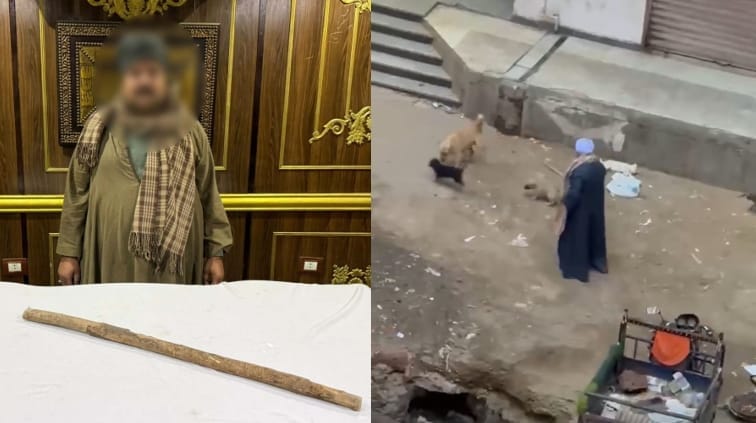 ضبط شخص اعتدى على كلاب ضالة بالطالبية بعد تداول فيديو للواقعة